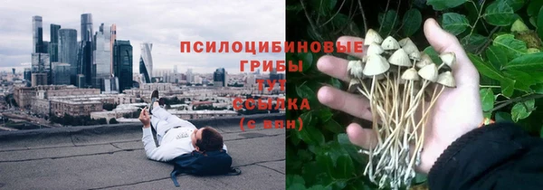 гидра Мегион